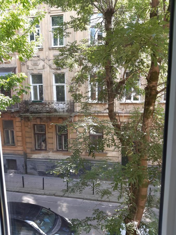 Cosy flat Lejlighed Lviv Eksteriør billede