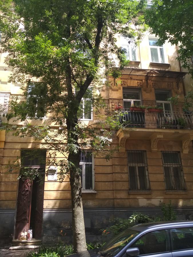 Cosy flat Lejlighed Lviv Eksteriør billede